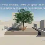 Arbre d’ombrage à croissance rapide pour petit jardin