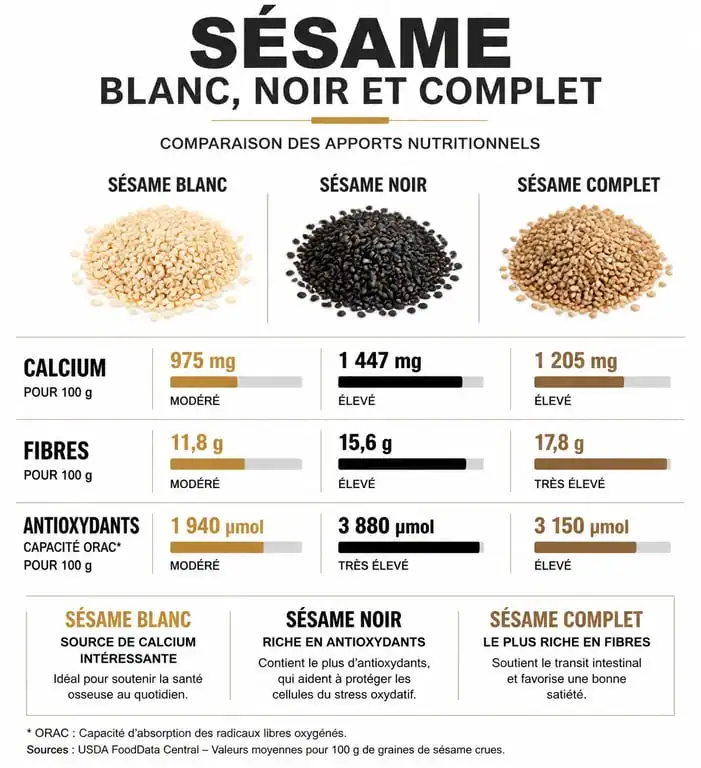 Infographie comparative des apports nutritionnels des graines de sésame blanc, noir et complet
