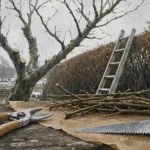 Quand tailler arbre : taille d’hiver, outils de jardin et coupe sur branche.